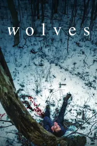 Poster to the movie "Wolves" #958826