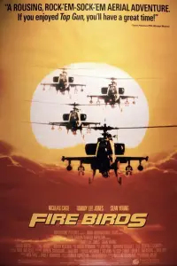 Poster to the movie "Fire Birds" #1113515