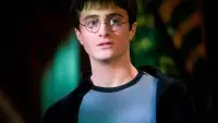 Backdrop to the movie "Harry Potter and the Order of the Phoenix" #699532