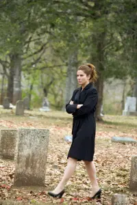Poster to the movie "Premonition" #708324