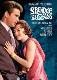 Poster to the movie "Splendor in the Grass" #1143503