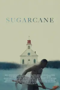 Poster to the movie "Sugarcane" #730381