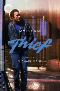 Poster to the movie "Thief" #958382