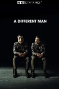 Poster to the movie "A Different Man" #958492