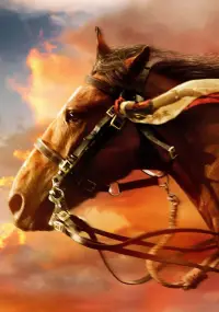 Poster to the movie "War Horse" #719044