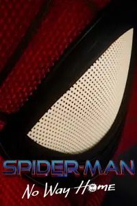 Poster to the movie "Spider-Man: No Way Home" #905803