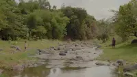 Backdrop to the movie "death