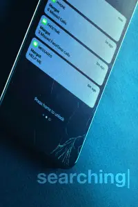 Poster to the movie "Searching" #959402