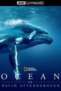Poster to the movie "Ocean with David Attenborough" #617877