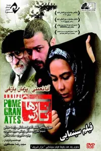 Poster to the movie "Unripe Pomegranates" #773370