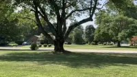 Backdrop to the movie "mailboxes" #569884