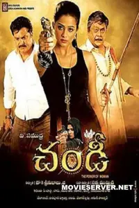 Poster to the movie "Chandi: The Power of Woman" #1198406