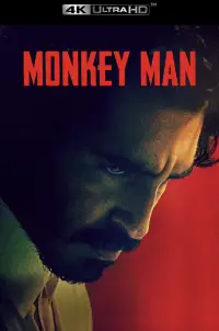 Poster to the movie "Monkey Man" #936310