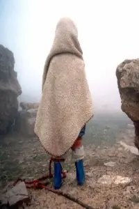 Poster to the movie "Turtles Can Fly" #1042461