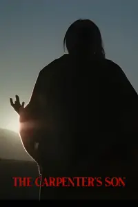 Poster to the movie "The Carpenter