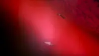 Backdrop to the movie "Neon Genesis Evangelion: The End of Evangelion" #804734