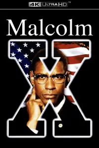 Poster to the movie "Malcolm X" #957141