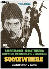 Poster to the movie "Somewhere" #1261827