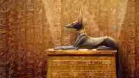 Backdrop to the movie "King Tut: A Century of Secrets" #892561