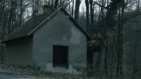 Backdrop to the movie "Echoes" #865838