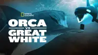 Backdrop to the movie "Orca Vs. Great White" #1014878