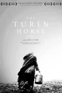 Poster to the movie "The Turin Horse" #1137936