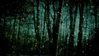 Backdrop to the movie "Falling Star" #681156