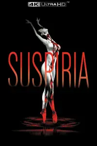 Poster to the movie "Suspiria" #953475