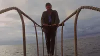 Backdrop to the movie "Jaws" #676261