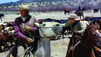 Backdrop to the movie "The Cowboys" #830067