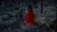 Backdrop to the movie "The Velvet Vampire" #720709