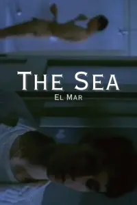 Poster to the movie "The Sea" #689706