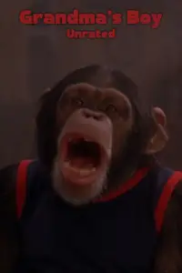 Poster to the movie "Grandma