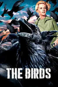 Poster to the movie "The Birds" #937854