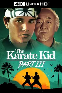 Poster to the movie "The Karate Kid Part III" #949729