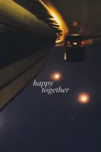 Poster to the movie "Happy Together" #1141987