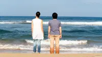 Backdrop to the movie "Touch of the Light" #848107