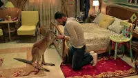 Backdrop to the movie "Our Love kangaroo" #849268