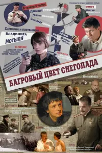 Poster to the movie "Crimson Color of Snowfall" #844289