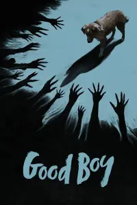 Poster to the movie "Good Boy" #1003490