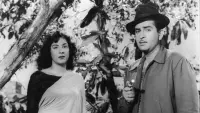 Backdrop to the movie "Chori Chori" #863564