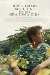 Poster to the movie "How To Make Millions Before Grandma Dies" #942352