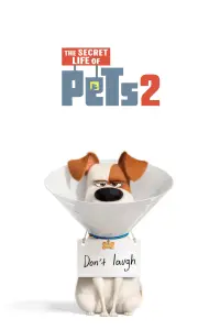 Poster to the movie "The Secret Life of Pets 2" #941623