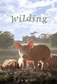 Poster to the movie "Wilding" #927740