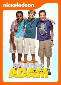 Poster to the movie "Splitting Adam" #941653