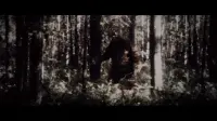 Backdrop to the movie "Secrets of the Sasquatch" #718558