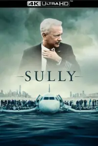 Poster to the movie "Sully" #1067344