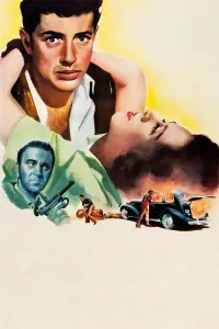 Poster to the movie "They Live by Night" #783614
