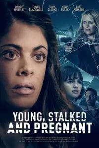Poster to the movie "Young, Stalked and Pregnant" #1225804