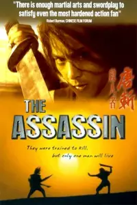 Poster to the movie "The Assassin" #1150569